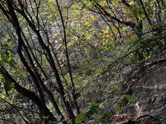 -云蒙山风景区