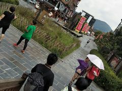 -印象鲵宴·张家界地标美食名片(溪布街店)