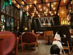 大堂-THE CANNERY&JUJU 新鲜海鲜·牛排美食酒廊