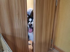 -白兔子密室(长寿路店)