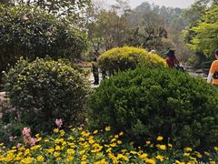 -东莞植物园