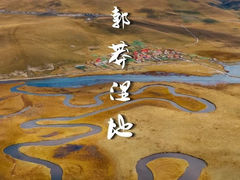 -莲宝叶则景区