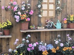 -HERRE·FARM 赫尔露营农场·团建聚会包场