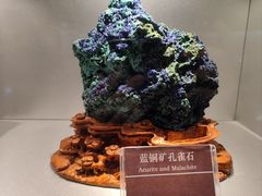 -甘肃地质博物馆