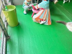 -上海佘山茂御臻品之选酒店(原佘山艾美酒店)