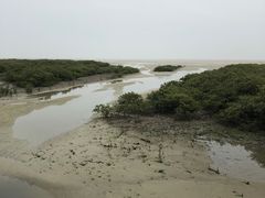 -北海金海湾红树林生态旅游区