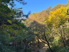 -北京西山国家森林公园