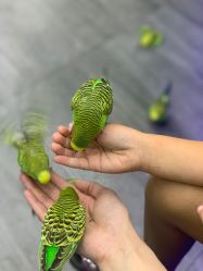 -未来动物城主题公园(正弘城店)
