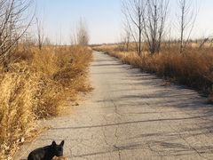 -天津东丽湖风景区