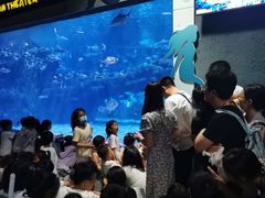 -郑州海洋馆