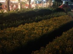 -大岗仙庙烧鸡(海南总店)