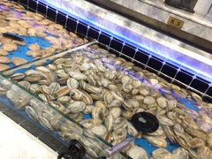 -川骄海鲜自助(河东店)