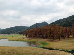 -东钱湖旅游度假区