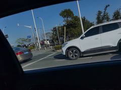 -南汇嘴观海公园