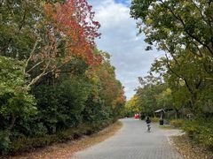 -上海海湾国家森林公园