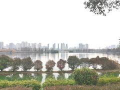 -洋湖国家湿地公园