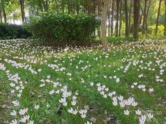 -眉山湿地公园(东坡区)