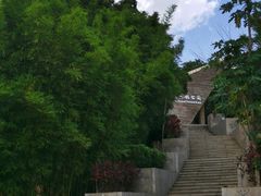 -七仙岭温泉国家森林公园