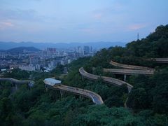 -福道