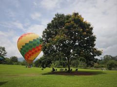 -中国科学院西双版纳热带植物园