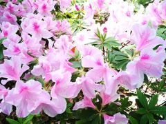 -共青国家森林公园-售票处