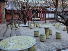 -宫事颐庭·老佛爷贵寿下午茶(颐和园店)