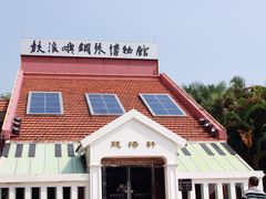 -鼓浪屿钢琴博物馆