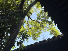 -小雅青年旅舍(平江路店)