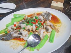 鲜花椒蒸桂花鲈-猪肉婆私房菜(容桂总店)