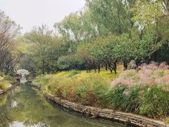 -北坞公园