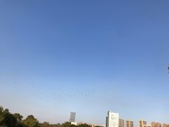 -古乐牛香·鲜牛肉牛杂火锅(解放东路店)