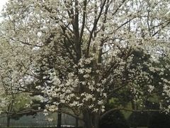 android_upload_pic-钓鱼台国宾馆