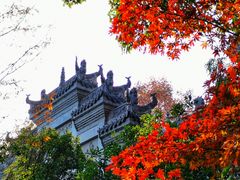 -习家池