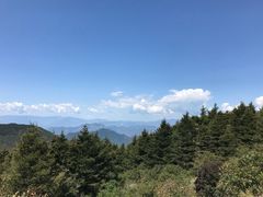 -白草畔自然风景区