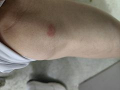 -广州粤海喜来登酒店