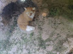 -陕西自然博物馆