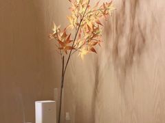 -耳道精致采耳(星河WORLD COCOPARK店)