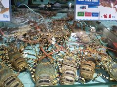 -渔民新村(番禺总店)