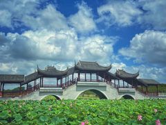 -上海海湾国家森林公园