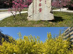 -大连外国语大学(旅顺校区)