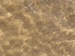 -六鳌翡翠湾滨海度假景区
