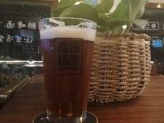 -麦落精酿啤酒餐吧(先农大院店)