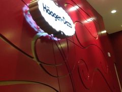 -哈根达斯(国瑞店)