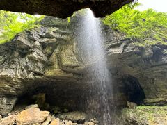 -鹿院坪生态旅游景区