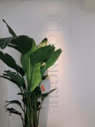 -魔型社烫染店