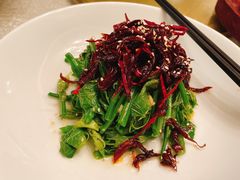 -云腾食府·云南菜