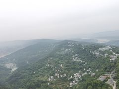-大金鹰园