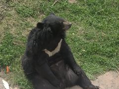 -无锡动物园·太湖欢乐园