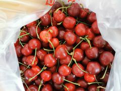 -江杨农产品批发市场