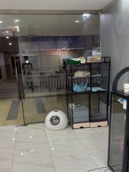 -镁连社·美联社